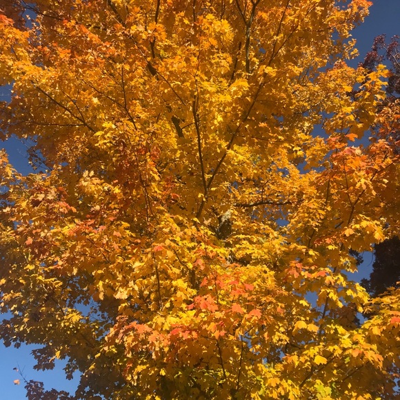 Meet your Posher, Doris - Picture 1 of 1